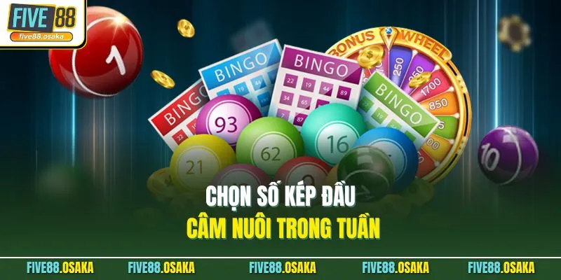 Chọn số kép đầu câm nuôi trong tuần